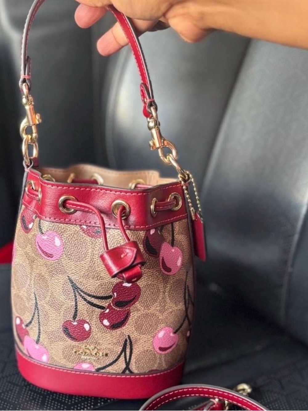 Coach Mini Bucket Bag